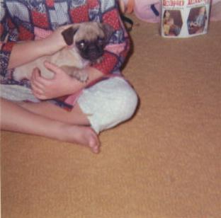dog_1969_002.jpg
