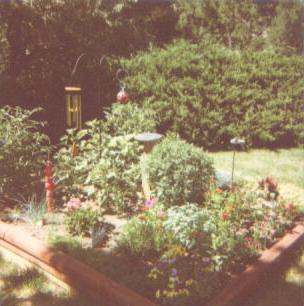 jacobs_garden_001.jpg
