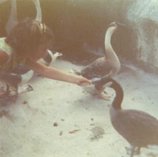 

sheri_1967_002.jpg